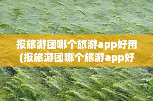 报旅游团哪个旅游app好用(报旅游团哪个旅游app好用一点)