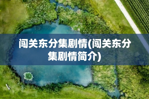闯关东分集剧情(闯关东分集剧情简介)