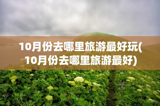 10月份去哪里旅游最好玩(10月份去哪里旅游最好)