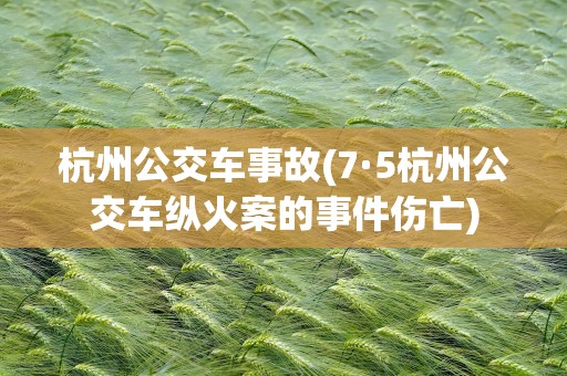 杭州公交车事故(7·5杭州公交车纵火案的事件伤亡)