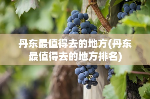 丹东最值得去的地方(丹东最值得去的地方排名)
