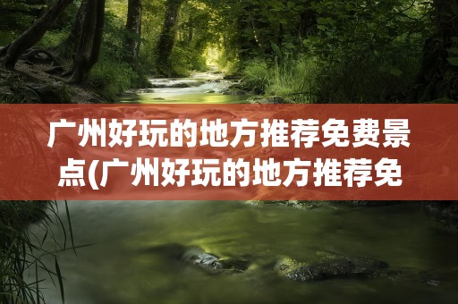 广州好玩的地方推荐免费景点(广州好玩的地方推荐免费景点夜景)