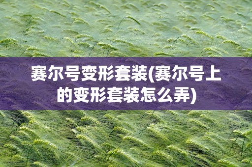 赛尔号变形套装(赛尔号上的变形套装怎么弄)