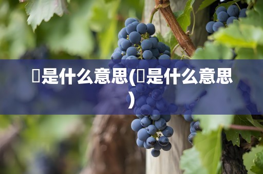 犇是什么意思(犇是什么意思)