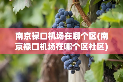 南京禄口机场在哪个区(南京禄口机场在哪个区社区)