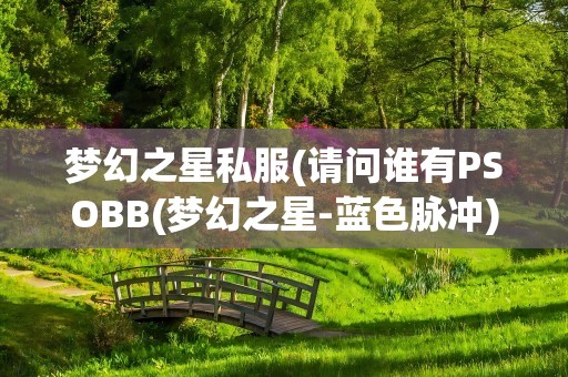 梦幻之星私服(请问谁有PSOBB(梦幻之星-蓝色脉冲)的私服地址啊)