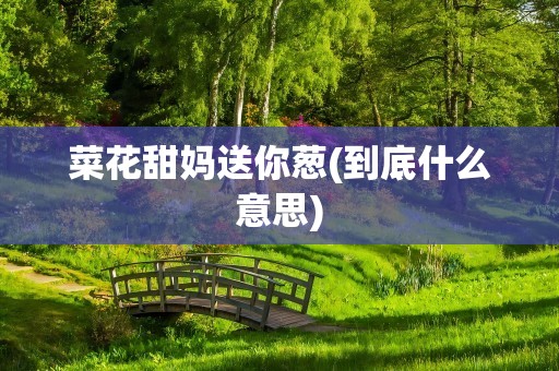 菜花甜妈送你葱(到底什么意思)