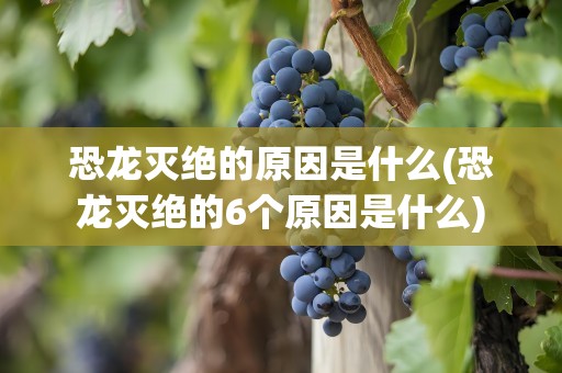 恐龙灭绝的原因是什么(恐龙灭绝的6个原因是什么)