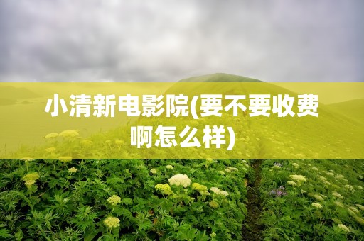 小清新电影院(要不要收费啊怎么样)