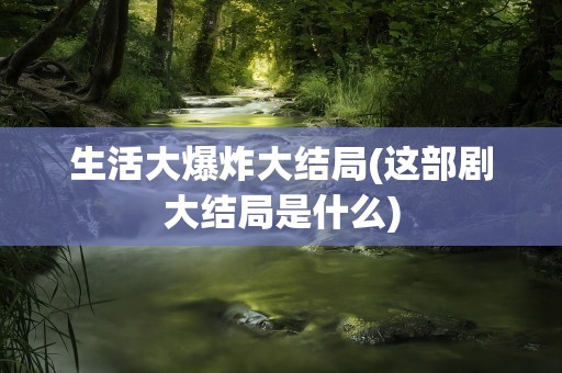 生活大爆炸大结局(这部剧大结局是什么)
