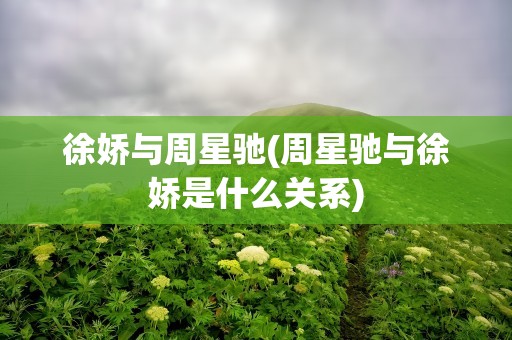 徐娇与周星驰(周星驰与徐娇是什么关系)