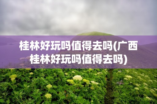 桂林好玩吗值得去吗(广西桂林好玩吗值得去吗)