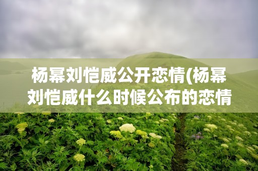 杨幂刘恺威公开恋情(杨幂刘恺威什么时候公布的恋情)