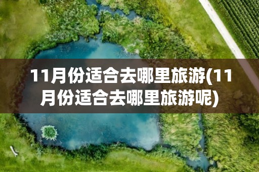 11月份适合去哪里旅游(11月份适合去哪里旅游呢)