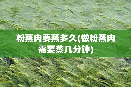 粉蒸肉要蒸多久(做粉蒸肉需要蒸几分钟)