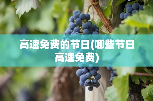 高速免费的节日(哪些节日高速免费)