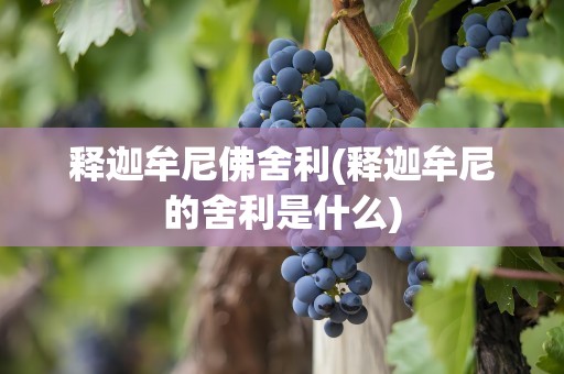释迦牟尼佛舍利(释迦牟尼的舍利是什么)