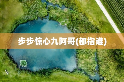 步步惊心九阿哥(都指谁)