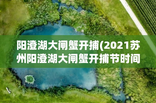 阳澄湖大闸蟹开捕(2021苏州阳澄湖大闸蟹开捕节时间-地点-活动内容)