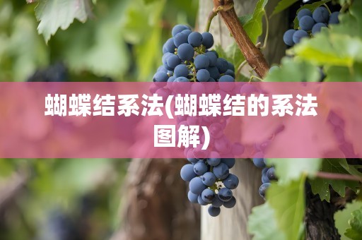 蝴蝶结系法(蝴蝶结的系法图解)