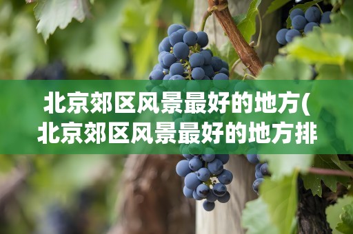 北京郊区风景最好的地方(北京郊区风景最好的地方排名)