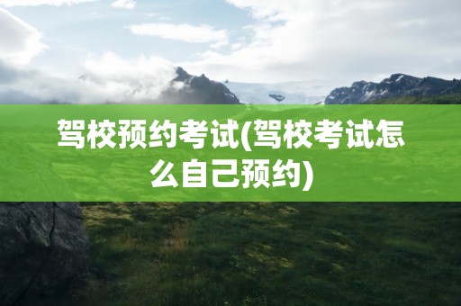 驾校预约考试(驾校考试怎么自己预约)