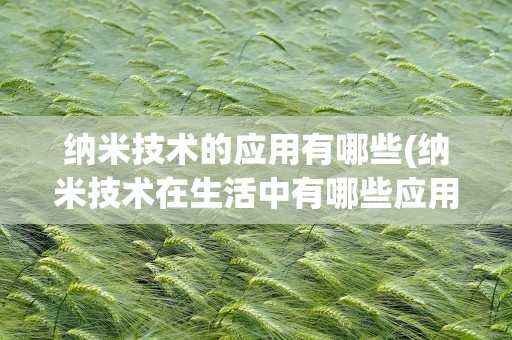 纳米技术的应用有哪些(纳米技术在生活中有哪些应用)