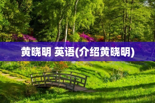 黄晓明 英语(介绍黄晓明)