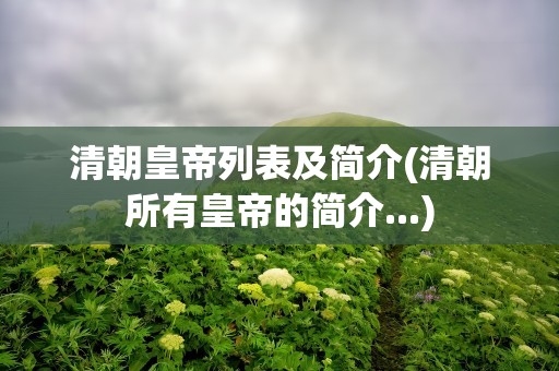 清朝皇帝列表及简介(清朝所有皇帝的简介...)