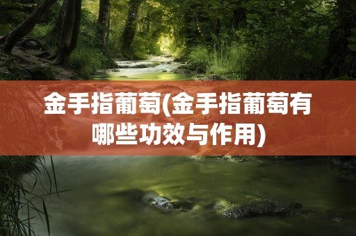 金手指葡萄(金手指葡萄有哪些功效与作用)