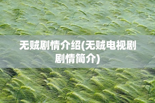 无贼剧情介绍(无贼电视剧剧情简介)