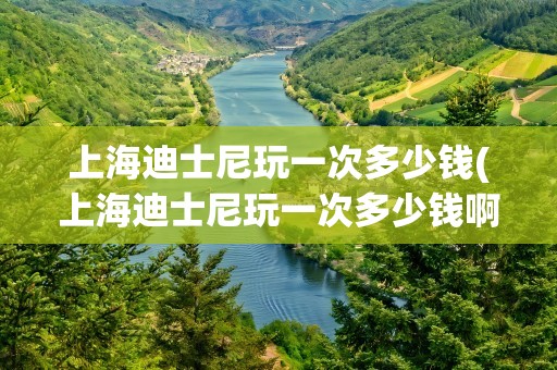 上海迪士尼玩一次多少钱(上海迪士尼玩一次多少钱啊)