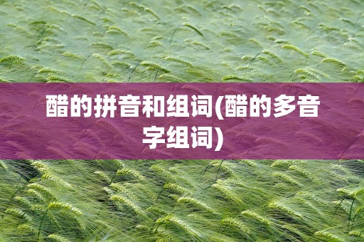 醋的拼音和组词(醋的多音字组词)