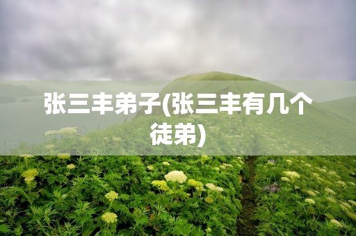 张三丰弟子(张三丰有几个徒弟)