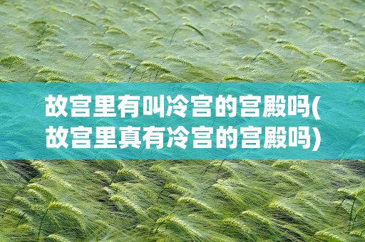 故宫里有叫冷宫的宫殿吗(故宫里真有冷宫的宫殿吗)
