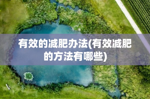 有效的减肥办法(有效减肥的方法有哪些)