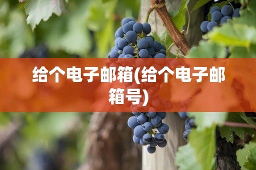 给个电子邮箱(给个电子邮箱号)