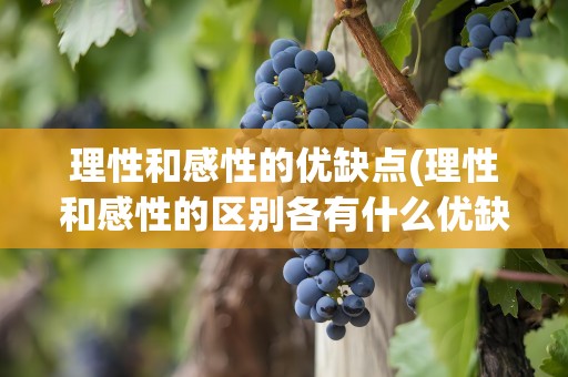 理性和感性的优缺点(理性和感性的区别各有什么优缺点)
