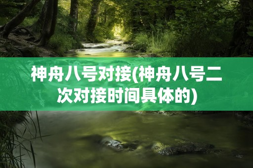 神舟八号对接(神舟八号二次对接时间具体的)