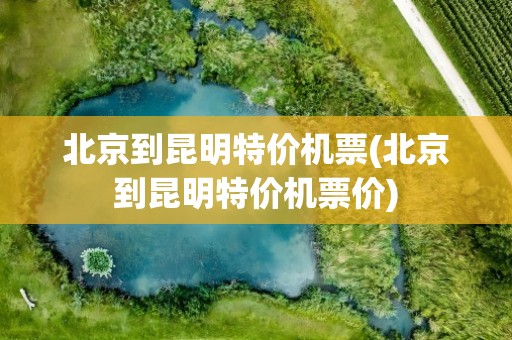 北京到昆明特价机票(北京到昆明特价机票价)