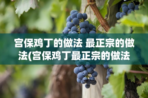 宫保鸡丁的做法 最正宗的做法(宫保鸡丁最正宗的做法怎么做)