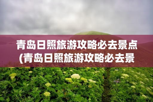 青岛日照旅游攻略必去景点(青岛日照旅游攻略必去景点推荐)