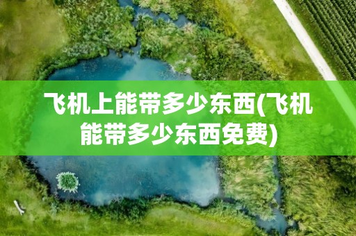 飞机上能带多少东西(飞机能带多少东西免费)