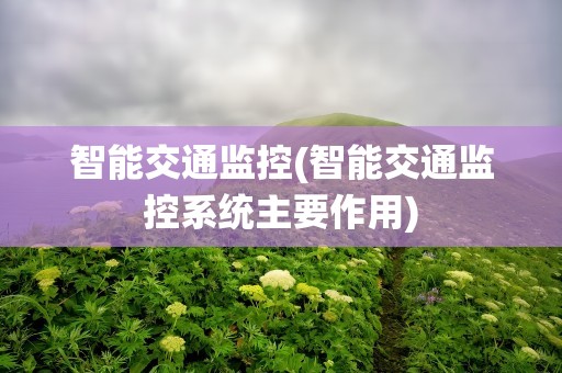 智能交通监控(智能交通监控系统主要作用)