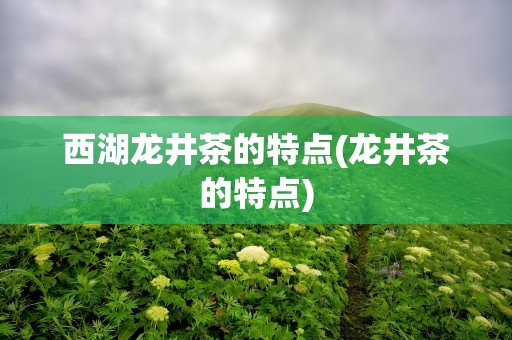 西湖龙井茶的特点(龙井茶的特点)