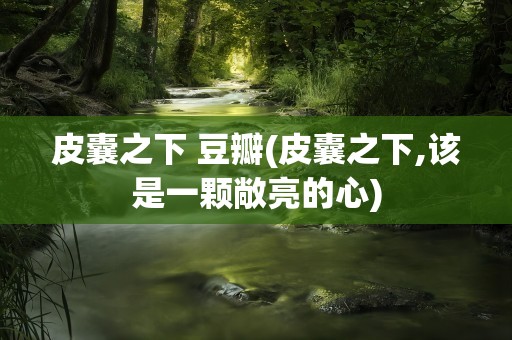 皮囊之下 豆瓣(皮囊之下,该是一颗敞亮的心)