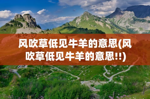 风吹草低见牛羊的意思(风吹草低见牛羊的意思!!)