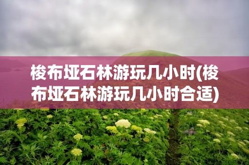 梭布垭石林游玩几小时(梭布垭石林游玩几小时合适)