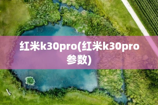 红米k30pro(红米k30pro参数)