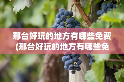 邢台好玩的地方有哪些免费(邢台好玩的地方有哪些免费景点)